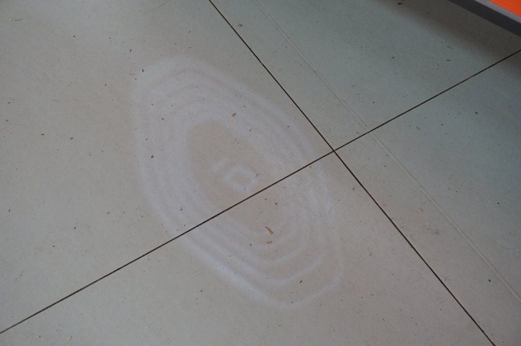 2025 Volkswagen ID. Buzz 1st Edition